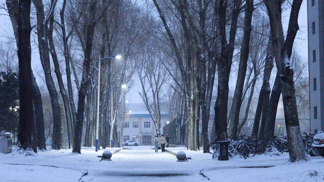 东北农业大学雪景图片