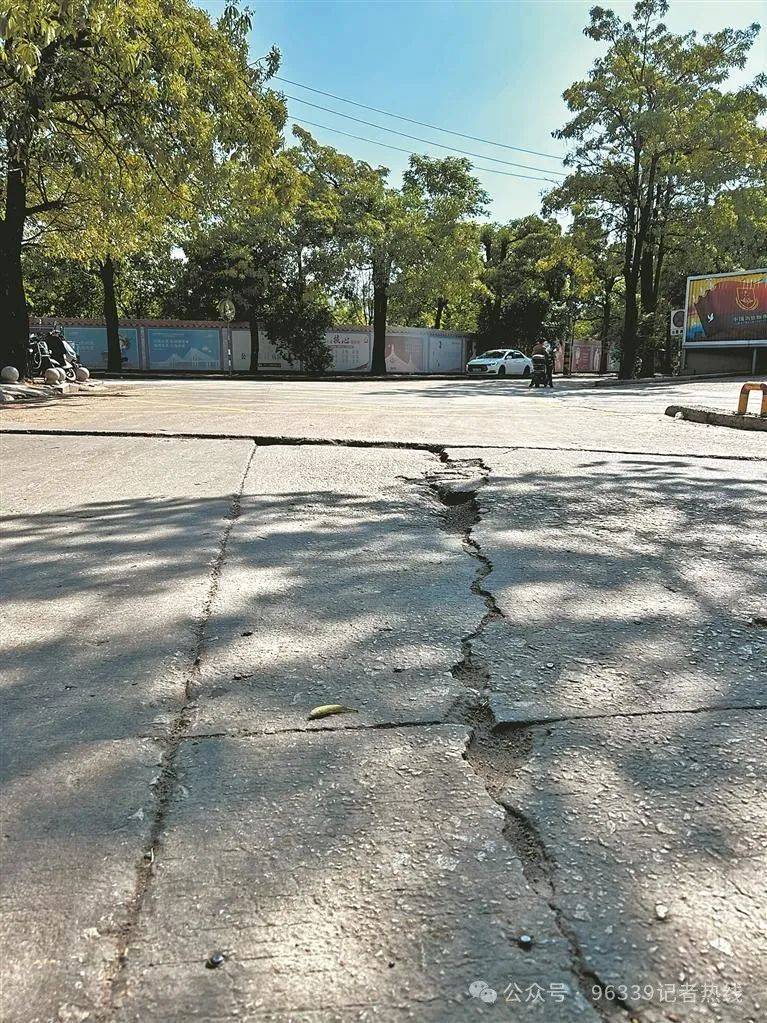 【有图有真相】路面开裂