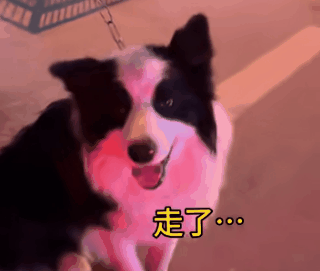 抖音]油条不拆家只是在谈到价钱时得到了肯定的1000元但是都得到了