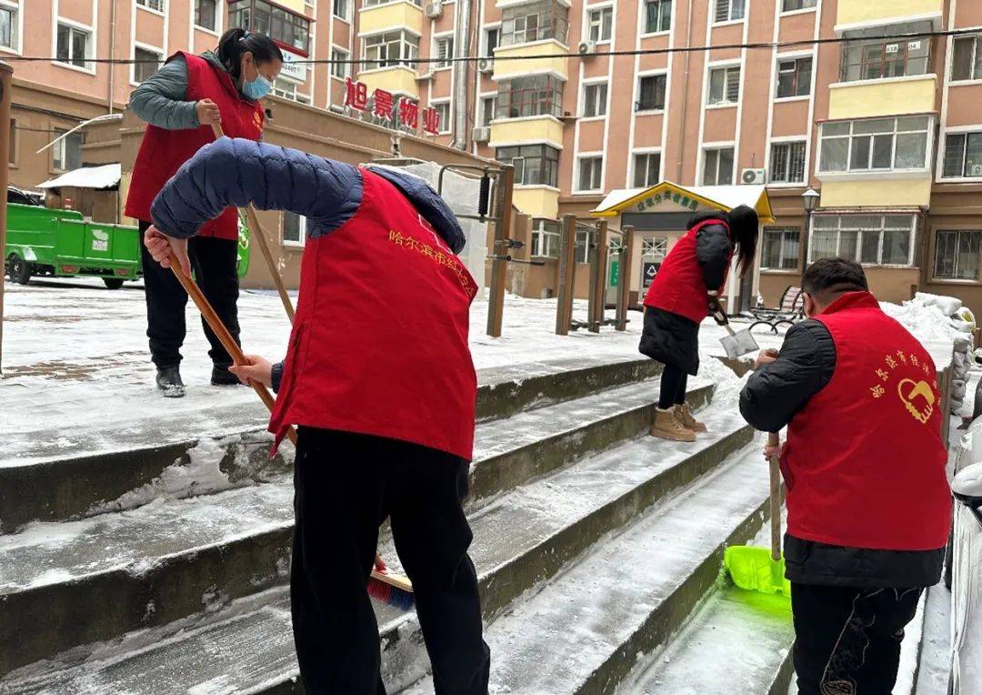 闻雪而动，温暖前行——花园街道青年志愿者在行动