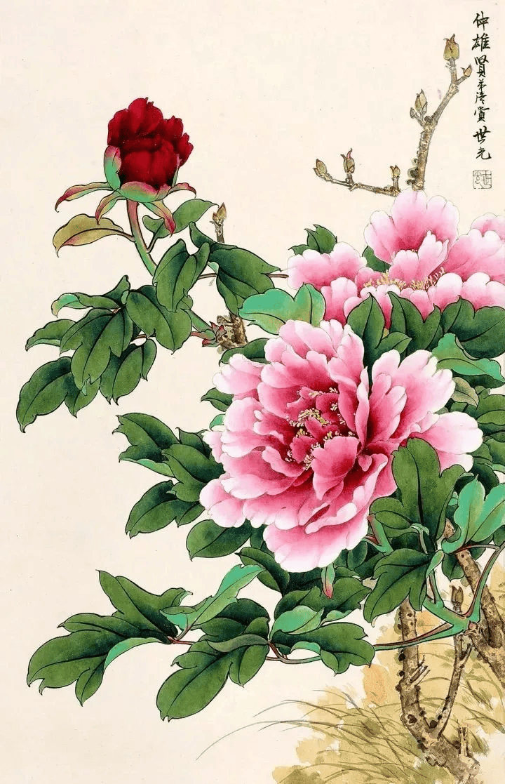 田世光,俞致贞,于非闇工笔牡丹图赏析,姹紫嫣红,花开富贵!