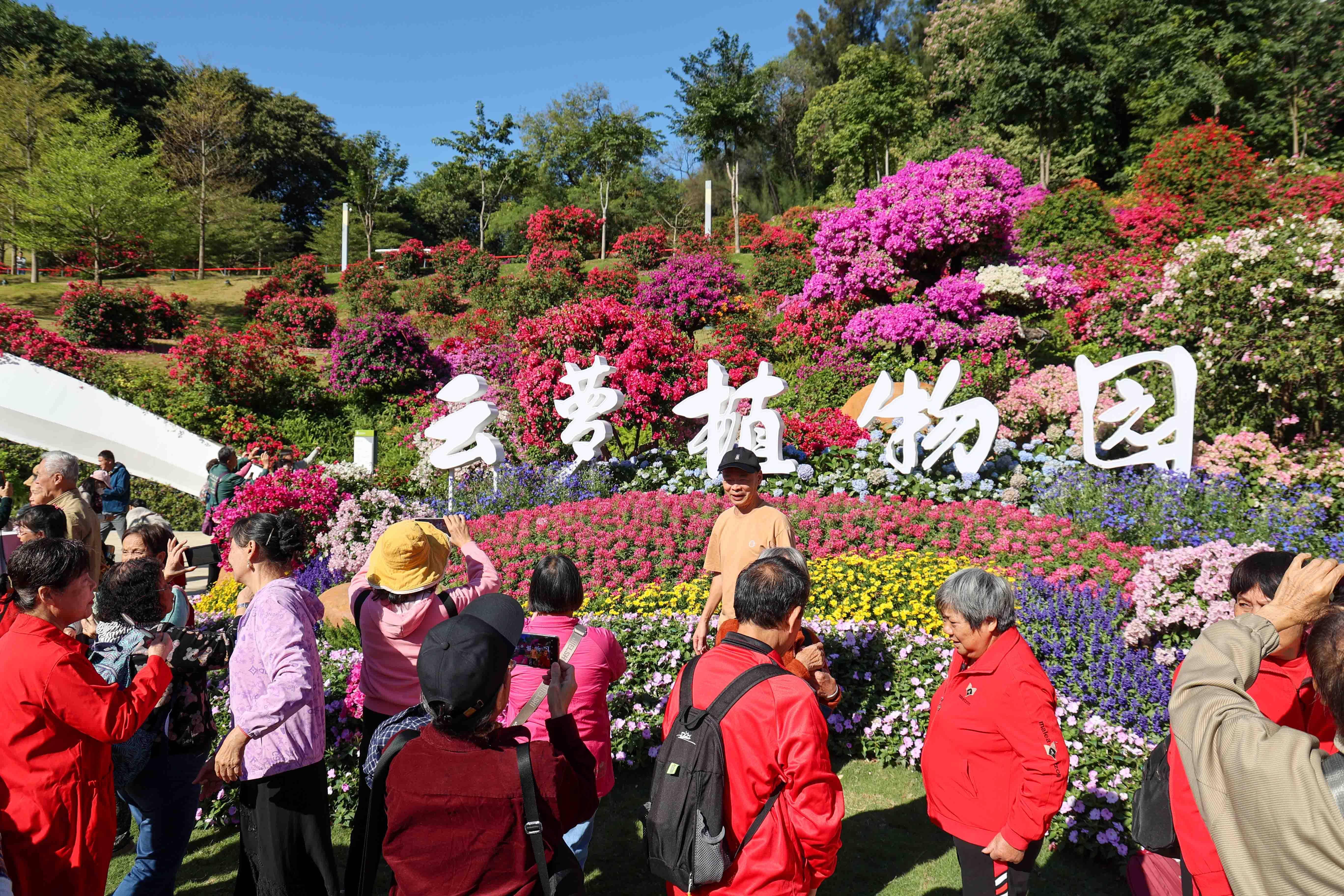 广州国家植物园图片