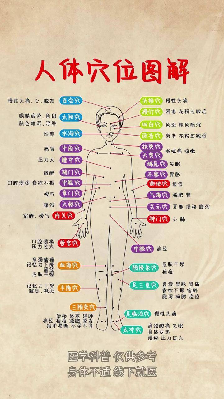 学中医,人体穴位详细图解!