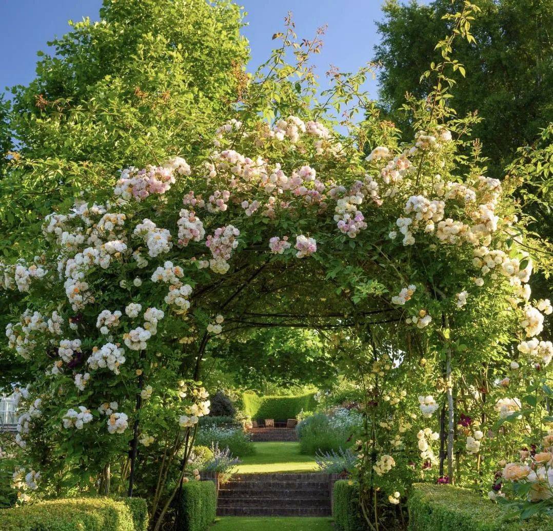 英国园艺游学,2025切尔西花园展,专家带你游世界经典花园!