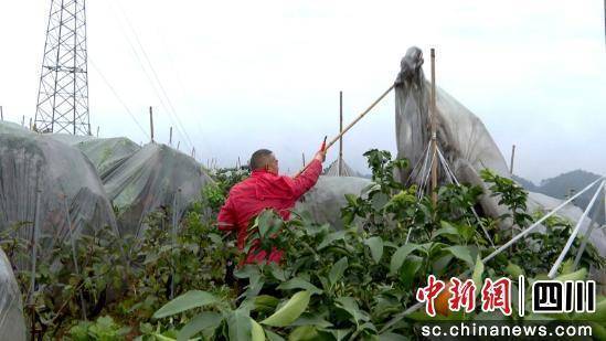 利博官网会员注册失败（中国官网）