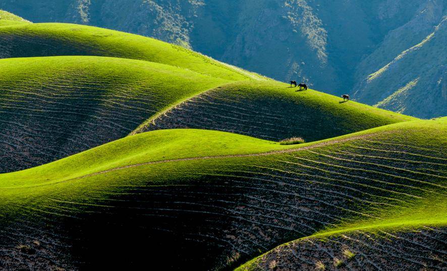 图片[4]-旅行上瘾的12种“临床表现”，你中了几条？ -华闻时空