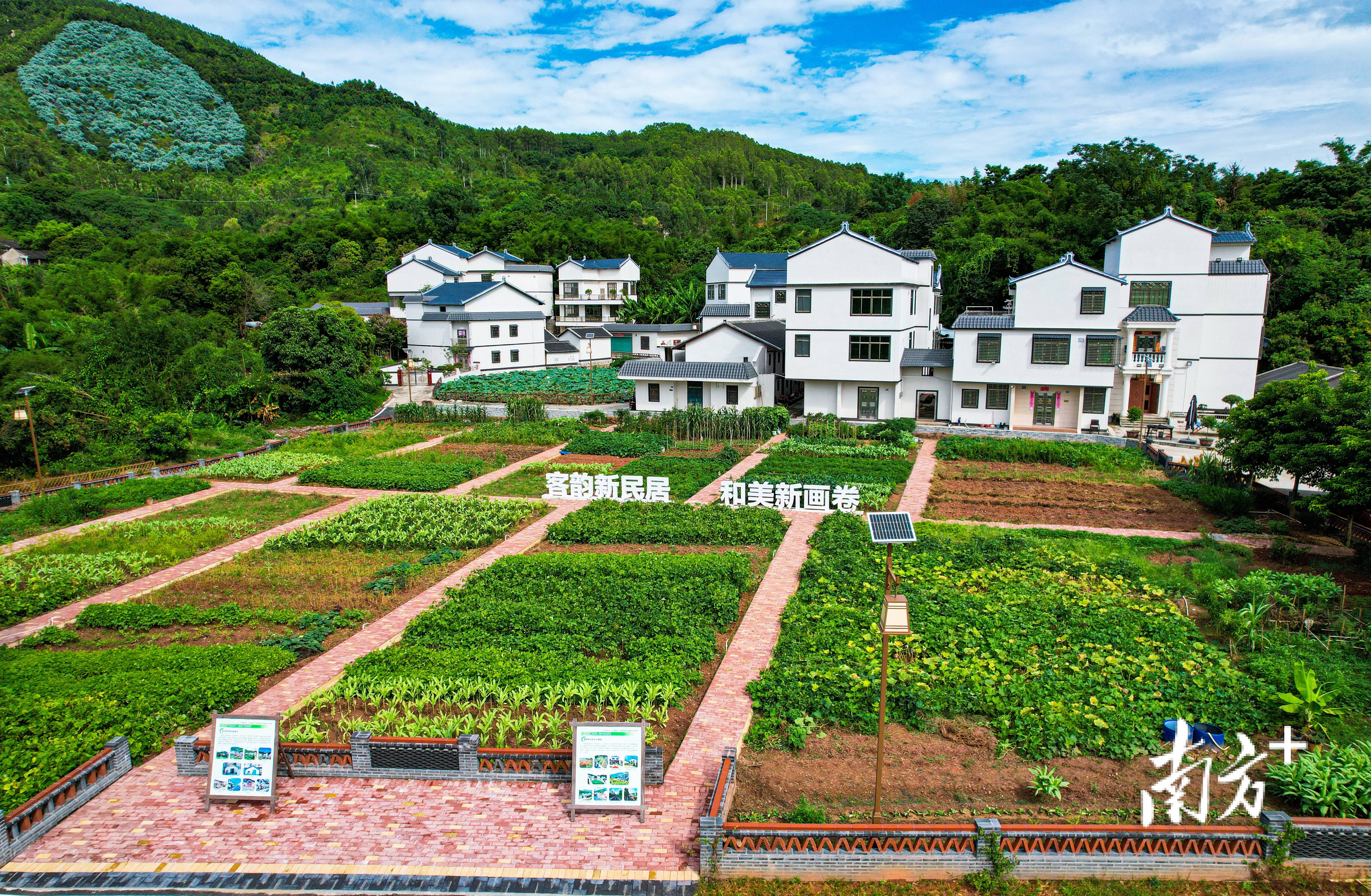 漳浦县石榴镇梅林村图片