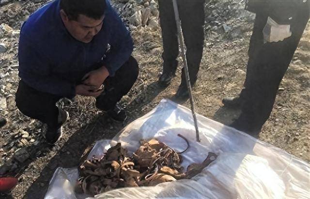 2008年,北京教师独自爬山,离奇失踪8年后,悬崖山洞发现白骨