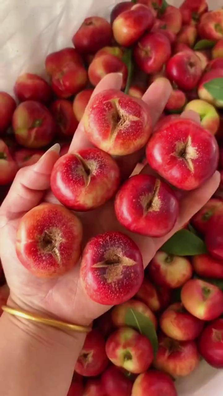 像纽扣一样大的桃子,真的超级好吃,香甜软糯,老少通吃 桃子 纽扣蟠 