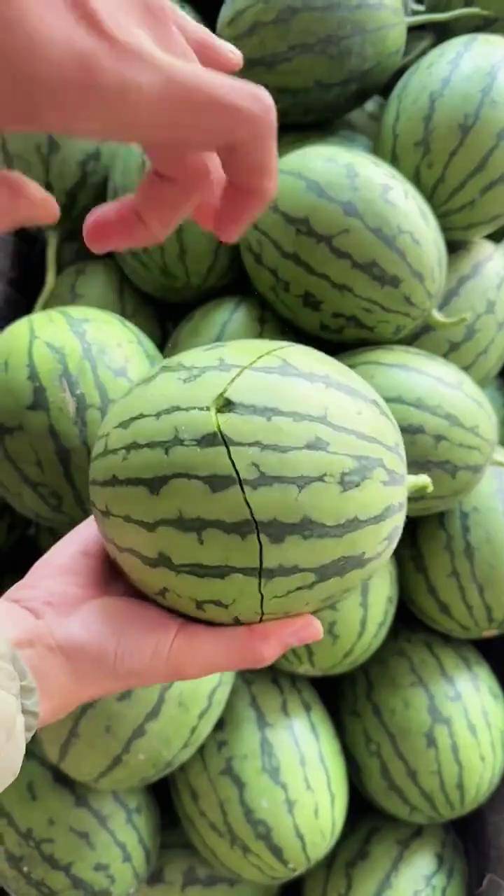 庞各庄小西瓜 ,瓜香浓郁 皮薄肉厚,水分足,个个嘎嘣脆手剥西瓜 梦中情