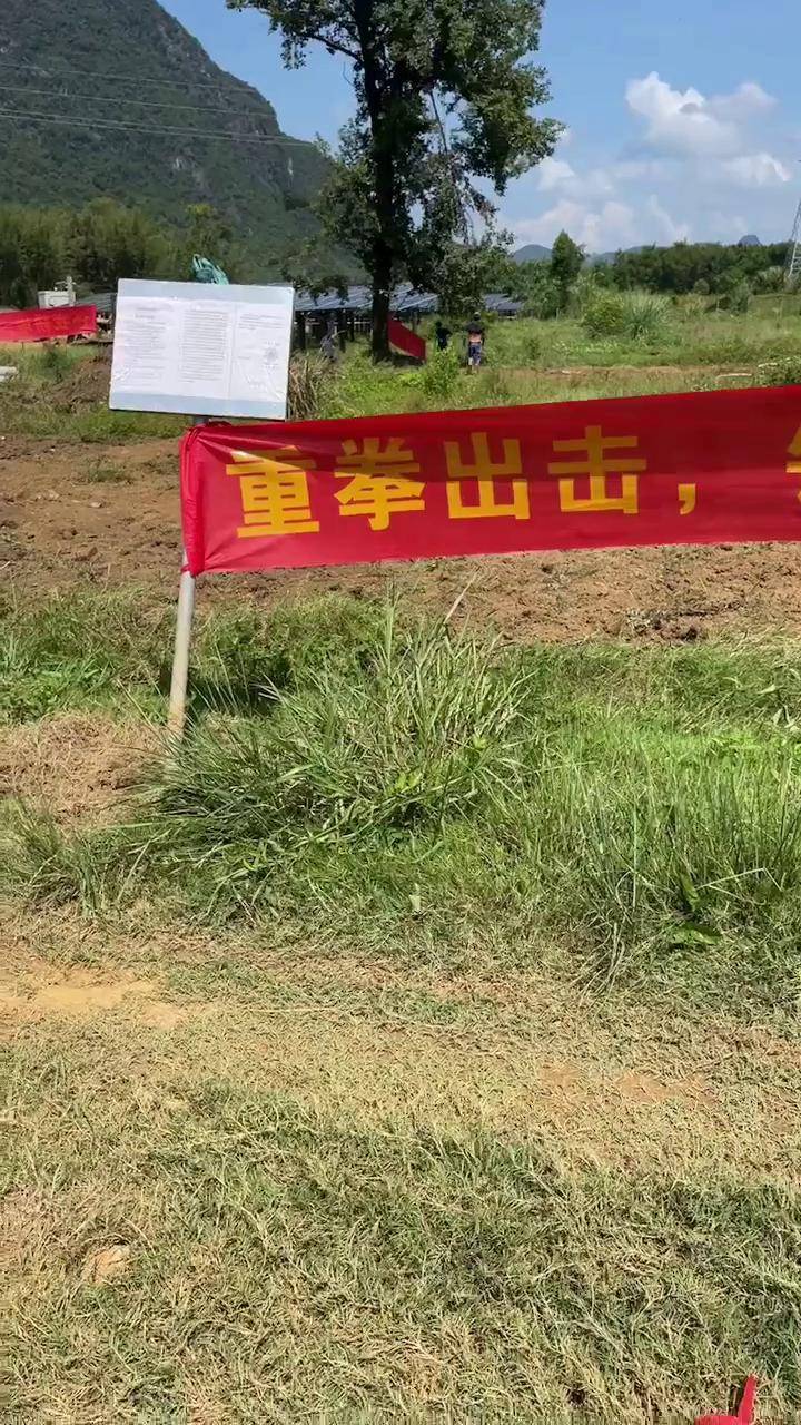 黑恶势力