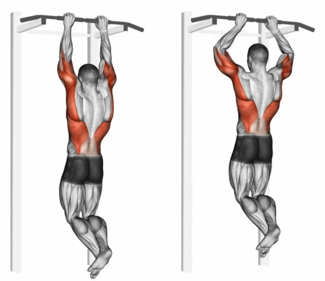 如何让引体向上更强,数量更多?