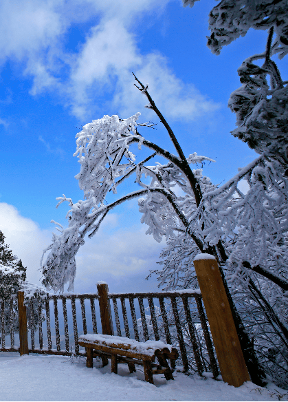 石柱黄水雪景图片