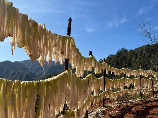 禄劝撒营盘镇三合村水果萝卜助开云体育农增收(图3)