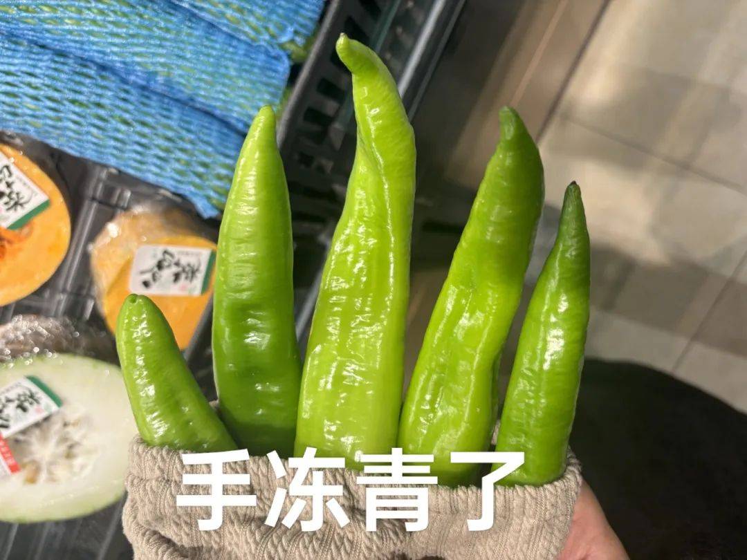 宝子,这是你喜欢的宝吗?_天气_冷风_暖胃