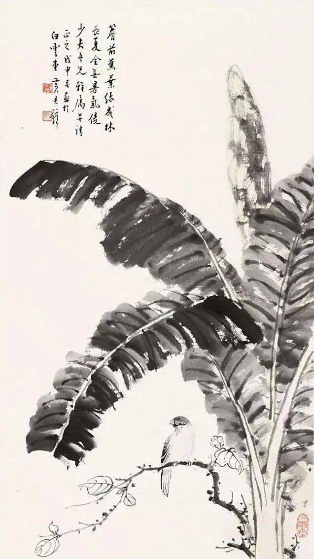 国画里的芭蕉,笔墨淋漓