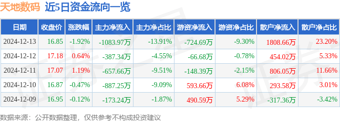 股票行情快报：天地数码（300743星空体育入口）12月13日主力资金净卖出108397万元(图1)