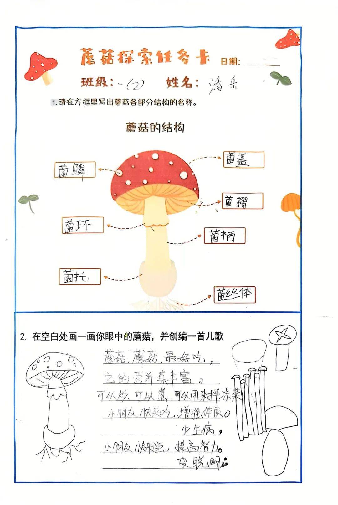 【和善丨校园新闻】"蘑菇奇遇记"