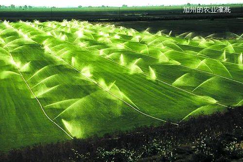 【调水地理】中国有哪些主要的调水工程？中国之外世界上的工程凤凰联盟平台(图13)