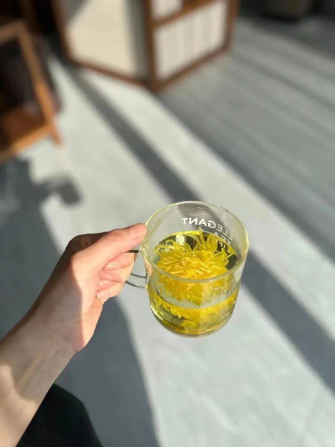 金丝皇菊的香味