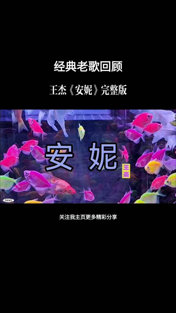 经典歌曲分享百听不厌 《安妮》完整版经典老歌 王杰希望作品给您带来