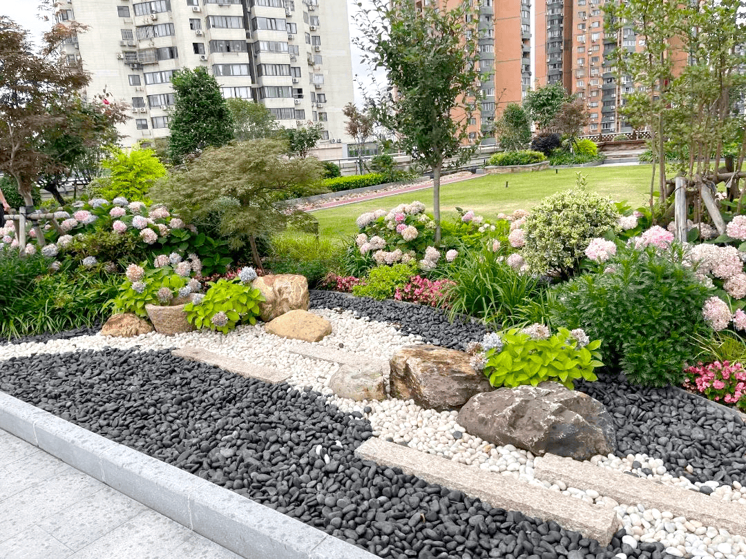 2024年全市建设立体绿化43.7万平方米,一睹各区案例风采