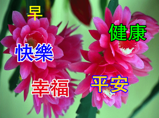 有新的动态(新的动态是什么意思)