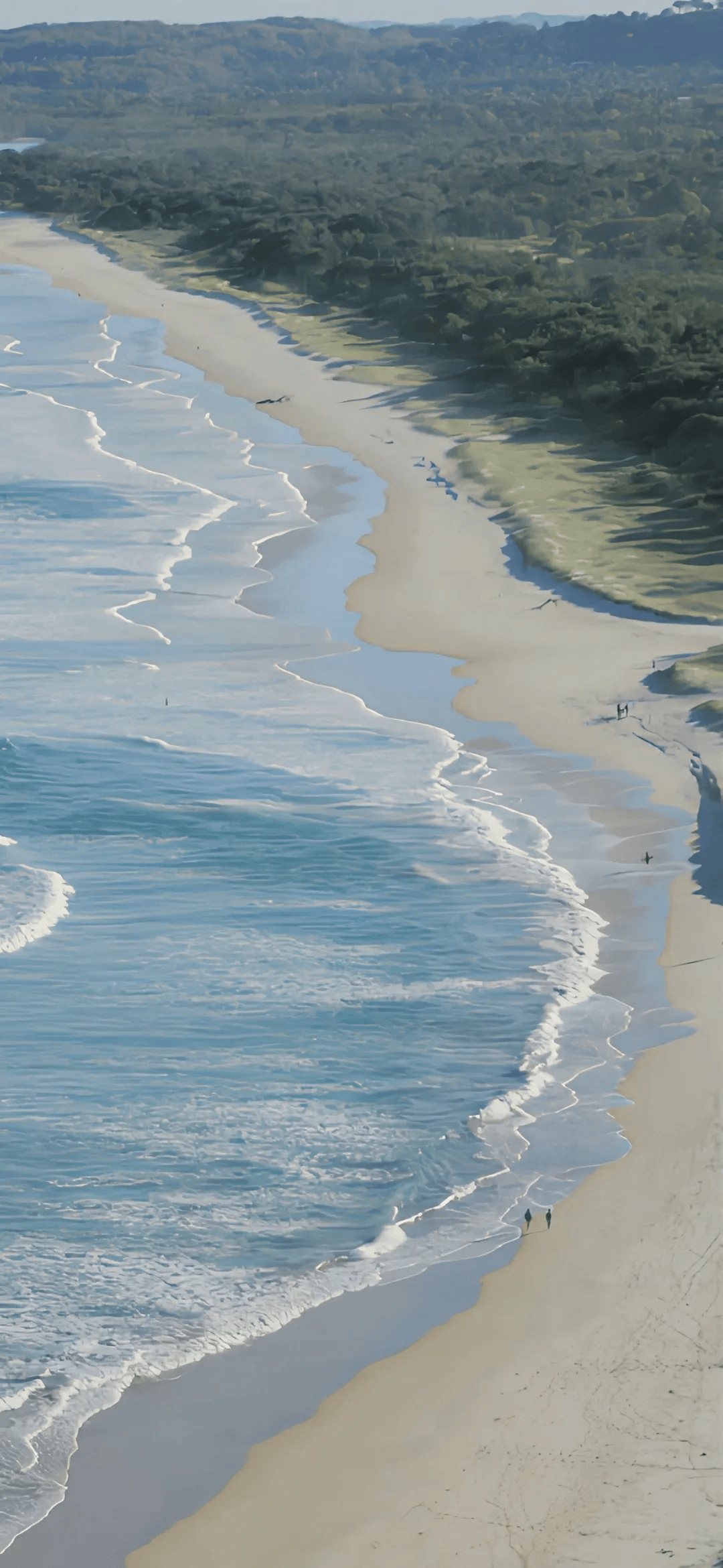 1080_2340竖版 竖屏gif 动态图 动图