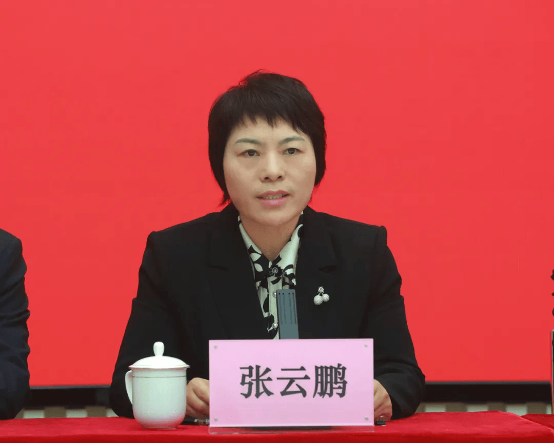 中共儋州市委常委,组织部部长,兼洋浦经济开发区工委委员张云鹏:谢谢