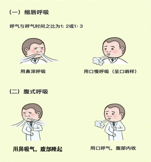 "一呼一吸"总关情 | 慢阻肺的呼吸康复训练