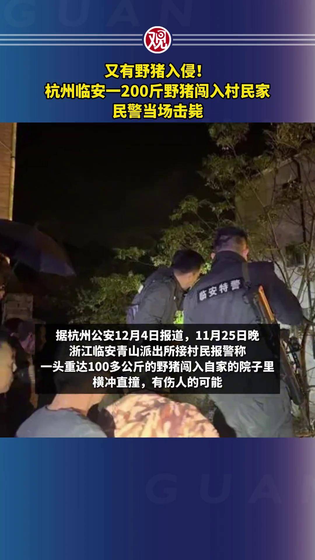 杭州临安发生的车祸图片