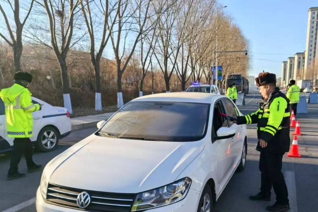 精心组织 雷霆出击 辽阳市公安局治安复杂区域第一次集中清查整治成效显著