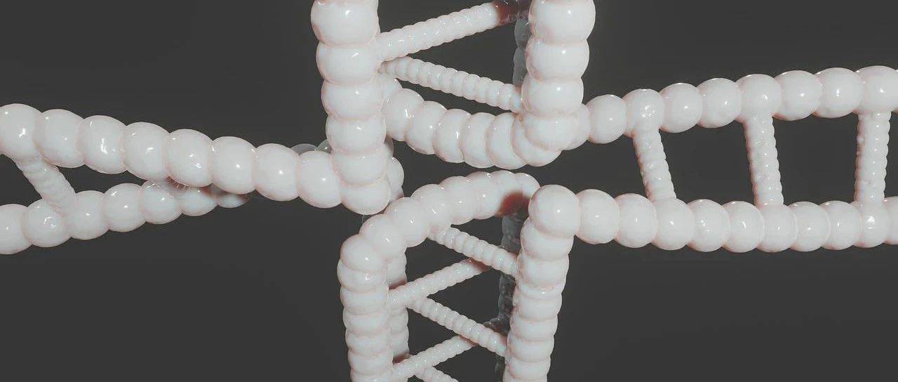 2025八省联考生物试题（陕、山、宁、青、河南、四川）_青海_宁夏_来源