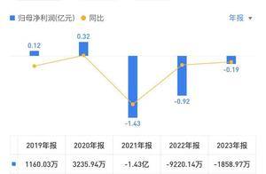 万涌执掌十年卸任董事长，海螺新材定增5亿未减资金之压