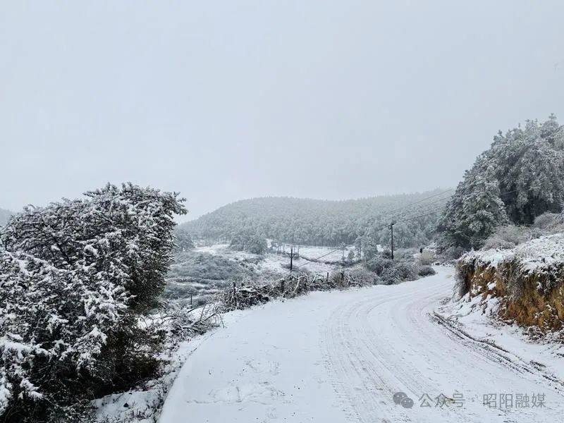 昭阳区青岗岭乡图片