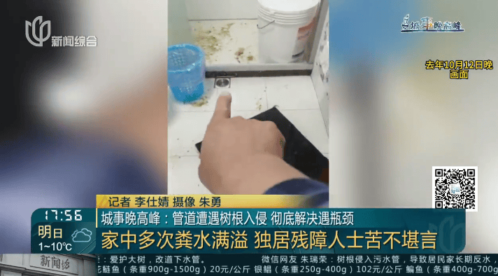 樹根入侵，家里遭殃…上海姐妹倆傻眼，轉(zhuǎn)機(jī)來了