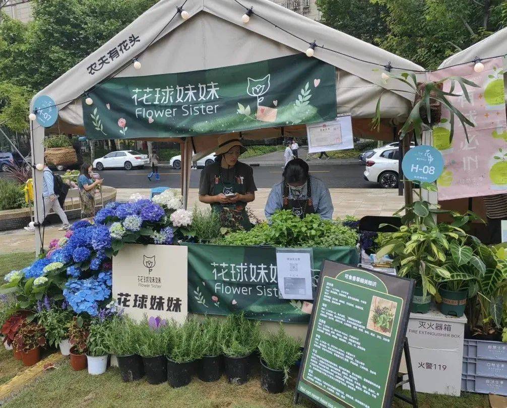 第十届上海市民绿化节精彩活动名单发布哪一个是你的最爱？(图1)