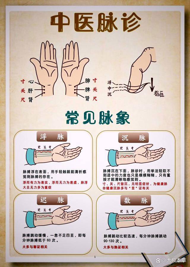 中医脉诊，常见脉象，超值收藏_洪数_寸脉_复合