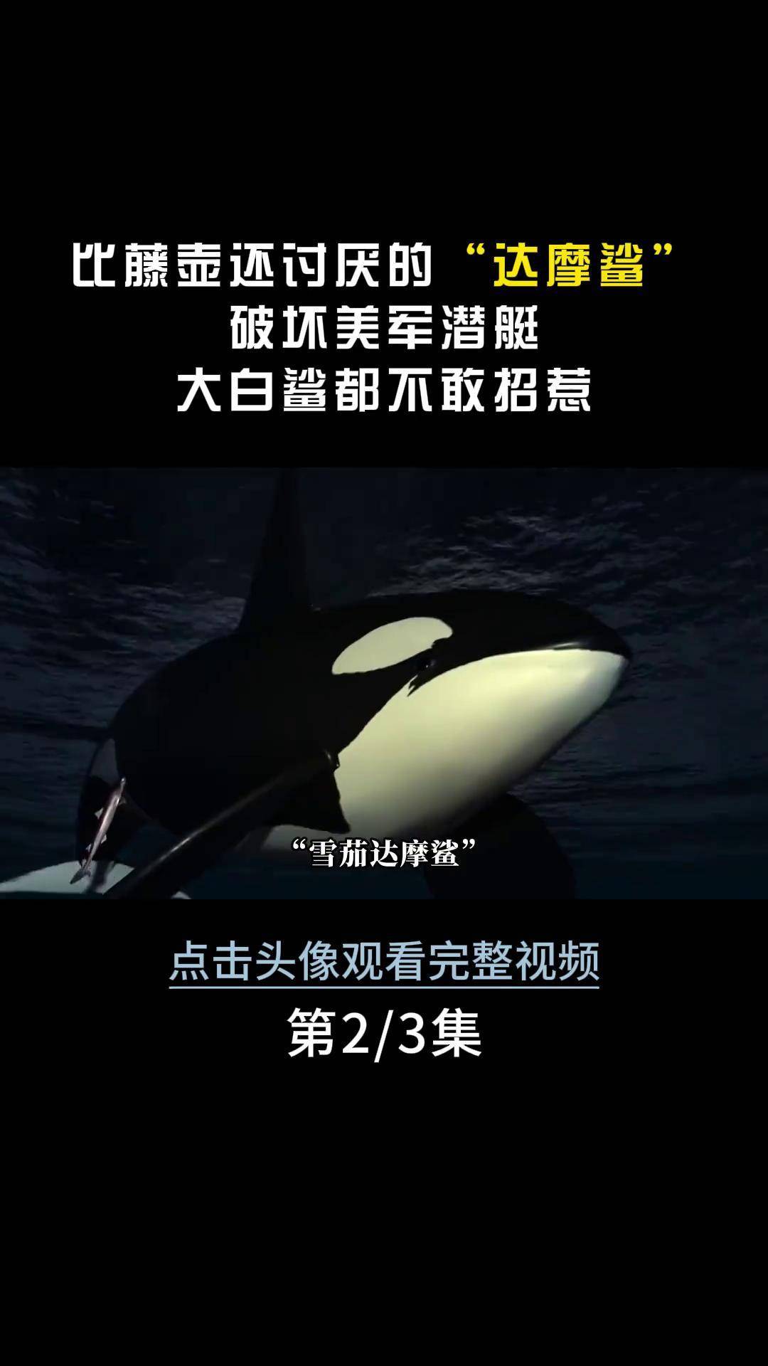 咬坏美国潜艇,生吃虎鲸,大白鲨,达摩鲨为啥这么豪横?
