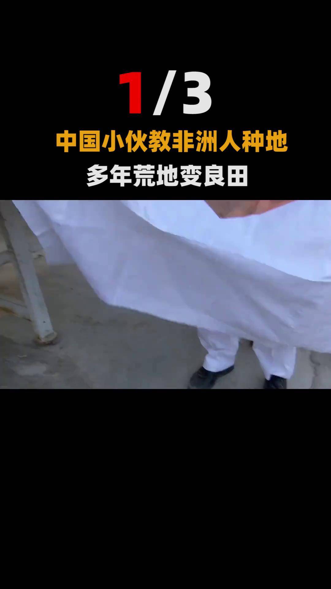 中国小伙在非洲"种"水稻:产量超百万吨,养活80万人当上酋长!