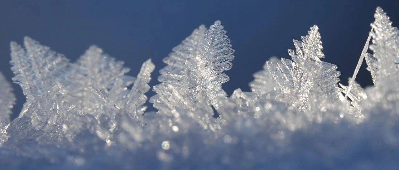 局地暴҈雪҈，大҈雨҈！蛇年首轮大范围雨雪天气来袭！青岛未来几天→ 地区 气温 北风