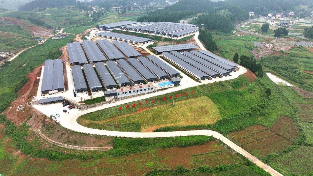岑巩龙田镇：以产业为抓手壮大村集体经济_发展_资金_土地