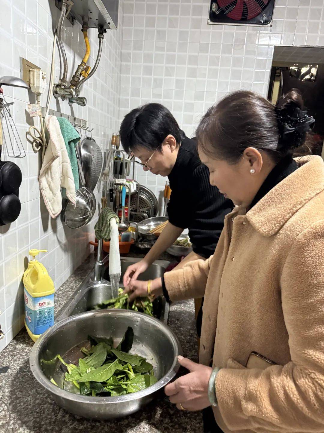 张健帮妈妈洗菜