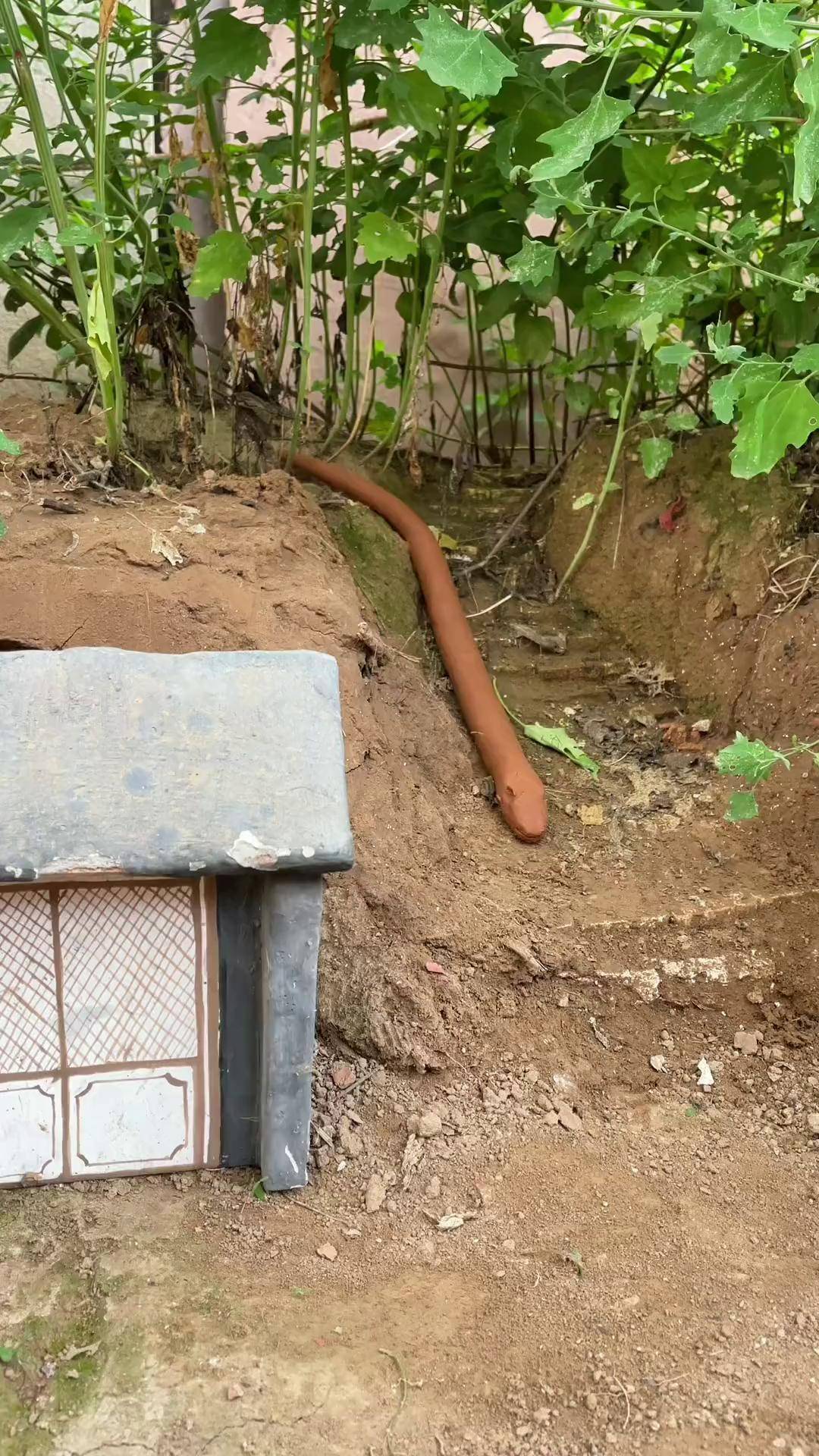 大蛇出没玩泥巴的最高境界