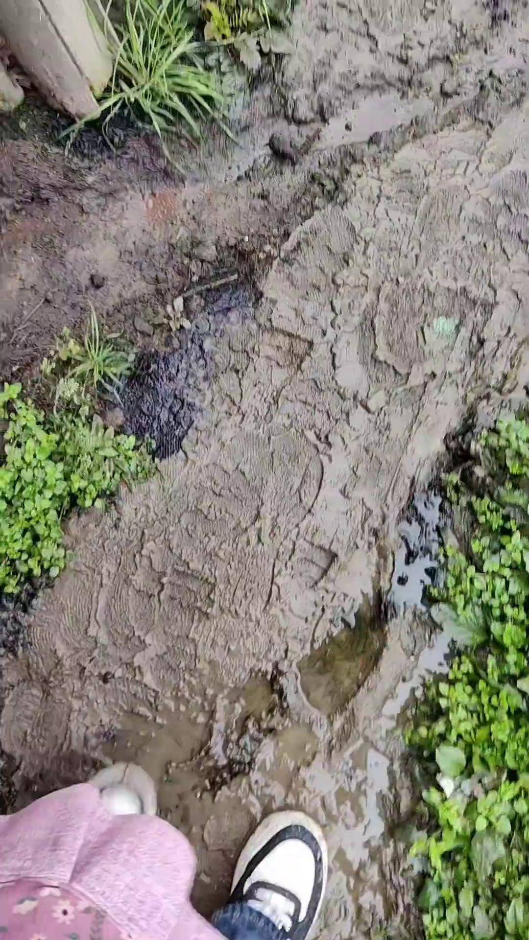 农村泥巴路 抖音记录农村生活