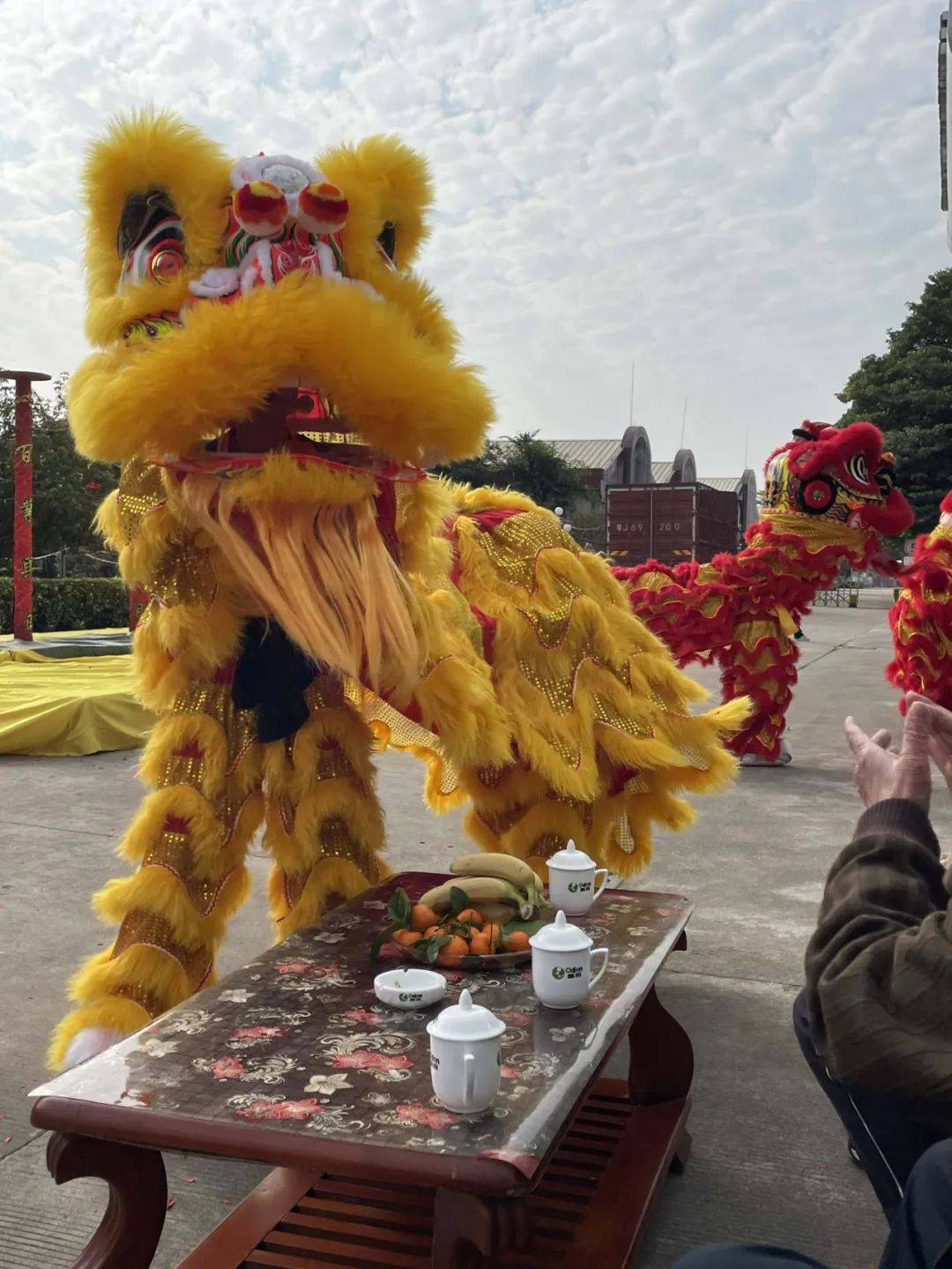 舞狮贺岁,共启新程