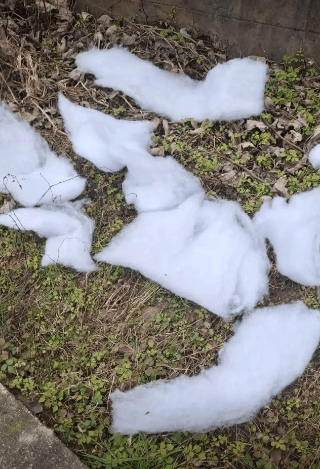 图片[3]-“门票是真的，雪是假的！” 一景区用棉花替代真雪 -华闻时空