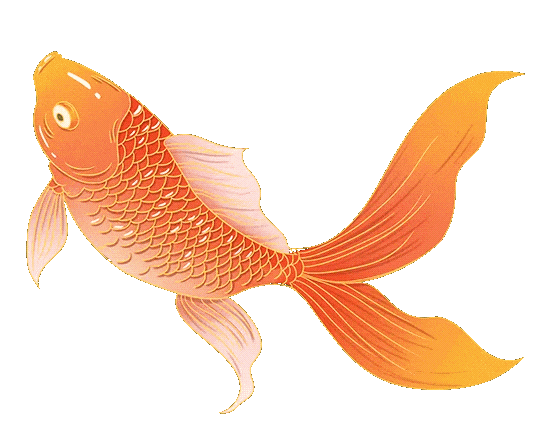 555_448gif 动态图 动图