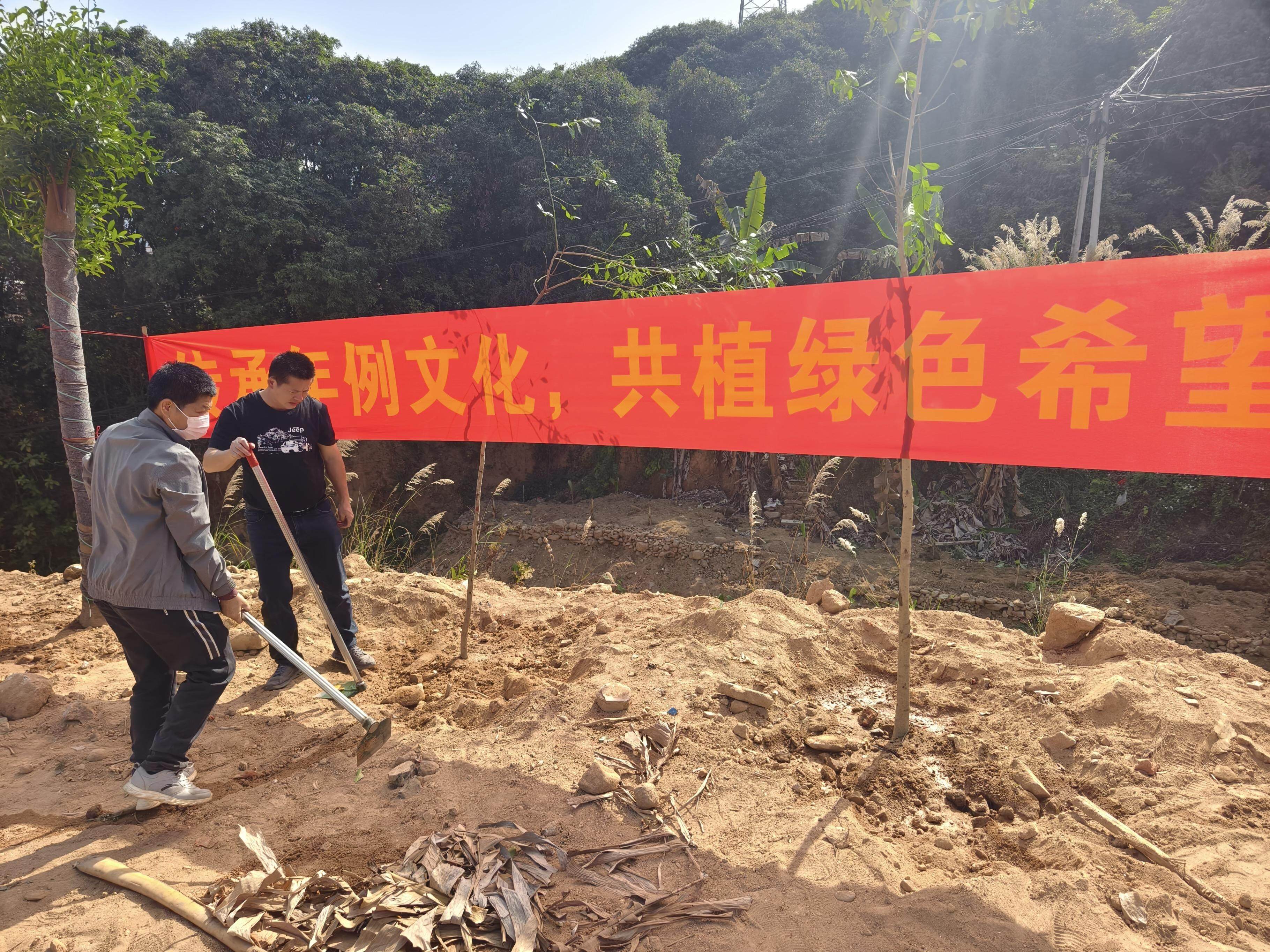 种树致富全部视频大全(种树致富全部视频大全集)