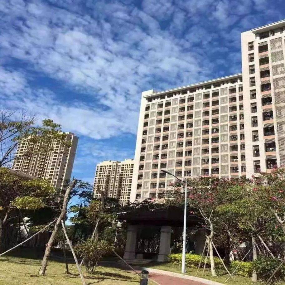 “宿” 说芳华 邂逅青春——2024-2025学年上学期星级宿舍展示_生活_心灵_舍规